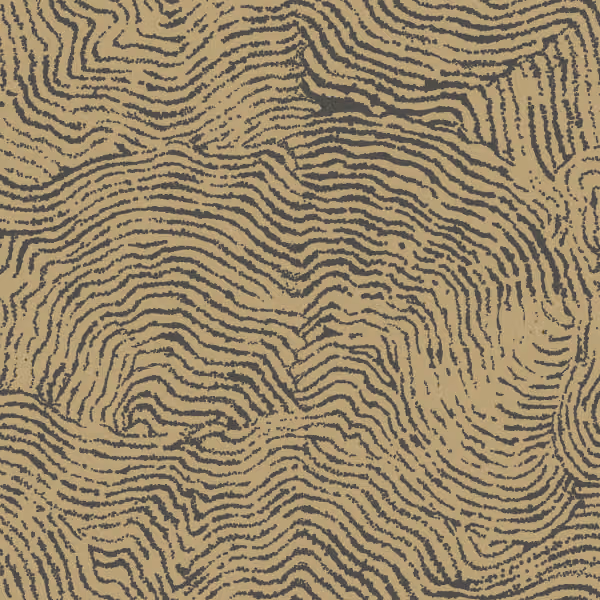 Celestial Wallpaper